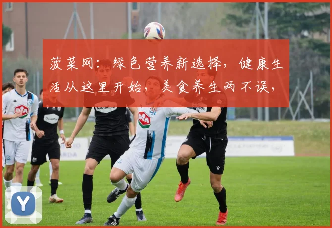 菠菜网：绿色营养新选择，健康生活从这里开始，美食养生两不误，快来探索