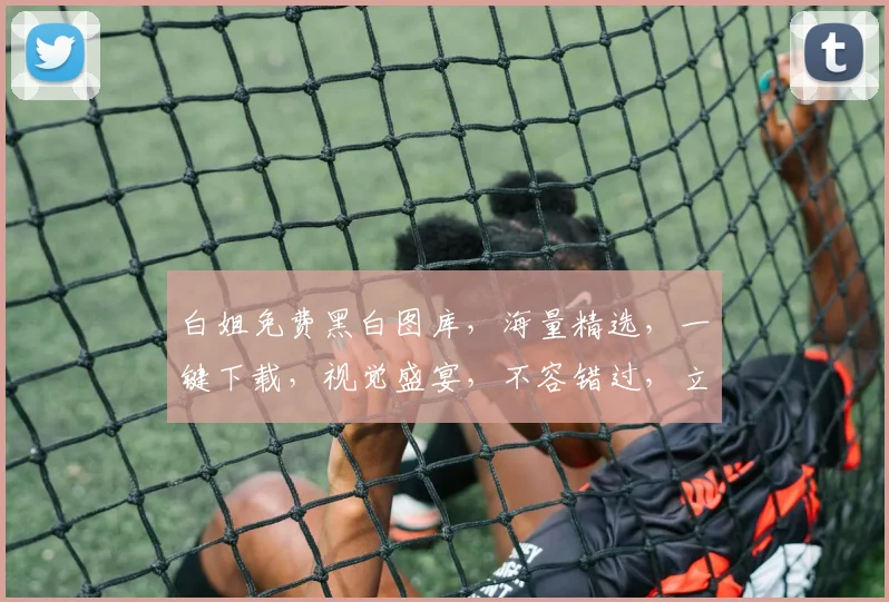 白姐免费黑白图库，海量精选，一键下载，视觉盛宴，不容错过，立即收藏