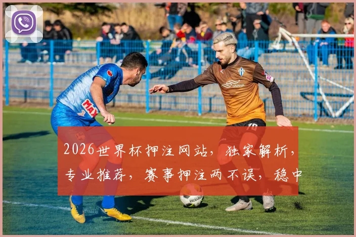2026世界杯押注网站，独家解析，专业推荐，赛事押注两不误，稳中求胜