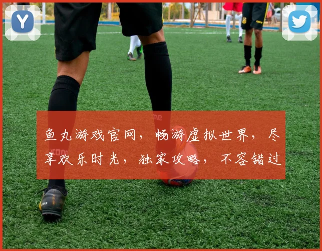 鱼丸游戏官网，畅游虚拟世界，尽享欢乐时光，独家攻略，不容错过，快来体验